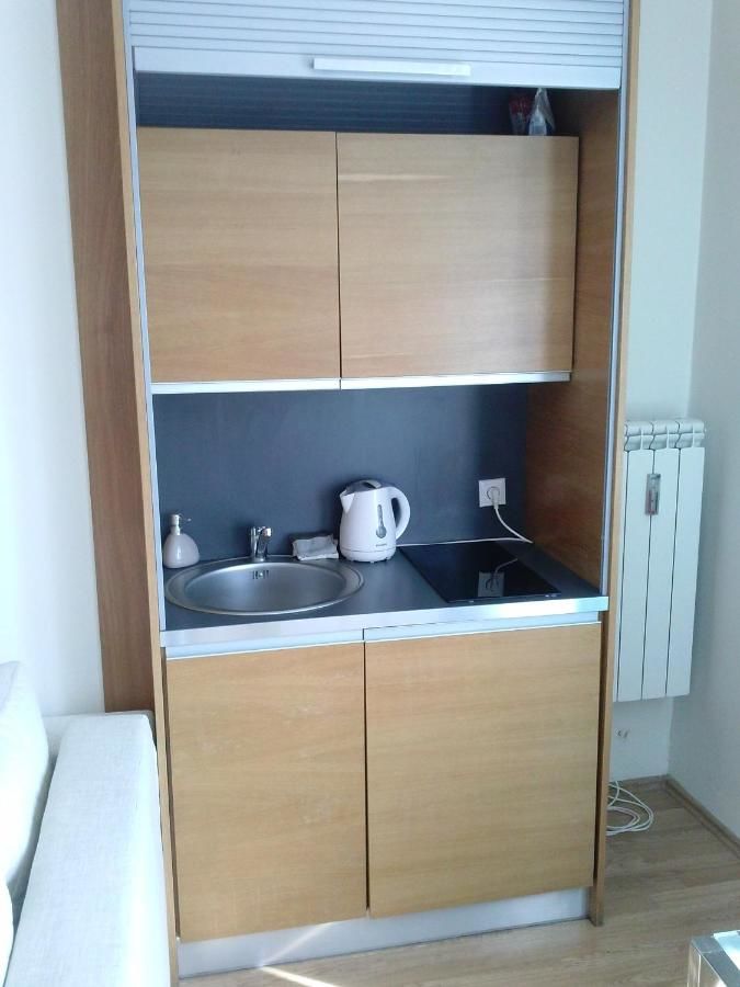 Апартаменты Apartament Dzialynskich 9 Познань-11