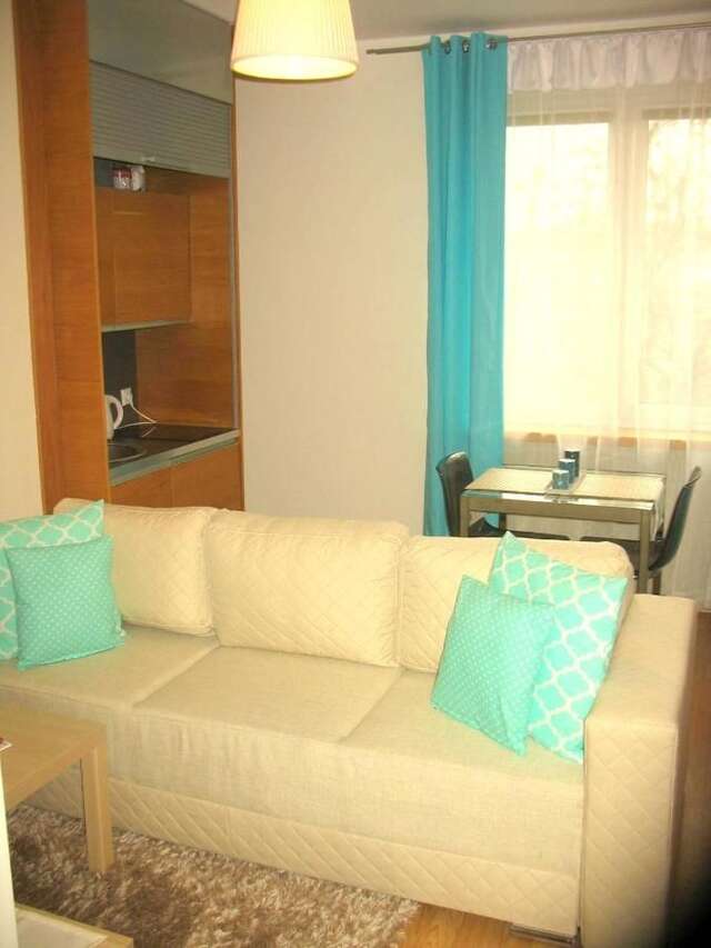 Апартаменты Apartament Dzialynskich 9 Познань-15