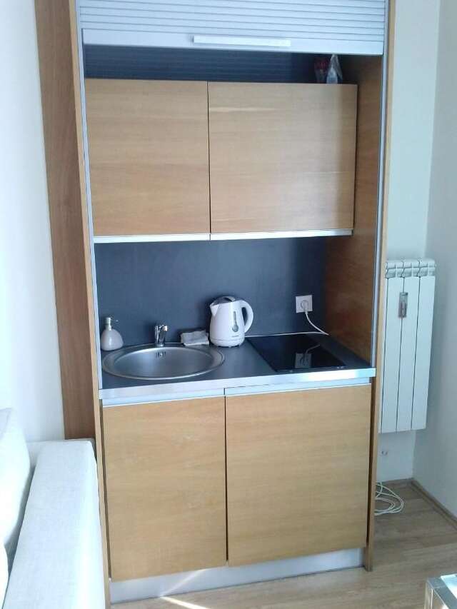 Апартаменты Apartament Dzialynskich 9 Познань-10